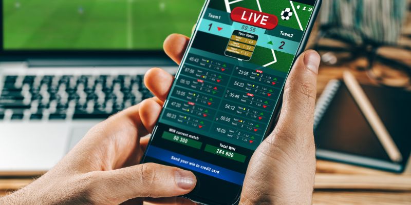 Bí quyết chơi cá cược thể thao hiệu quả