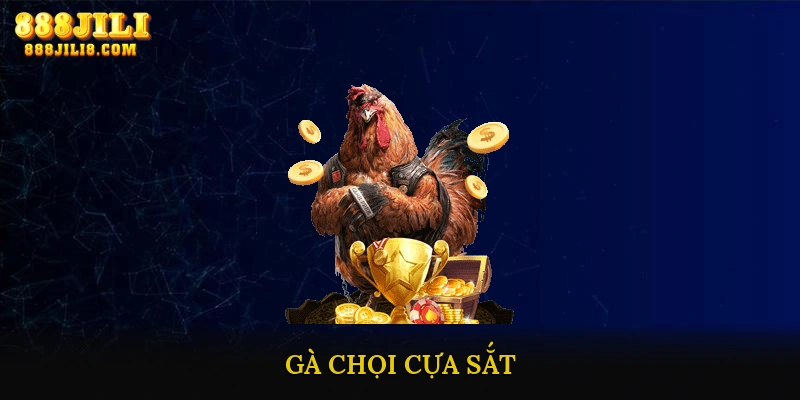 Gà Chọi Cựa Sắt