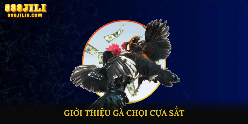 Giới Thiệu Gà Chọi Cựa Sắt