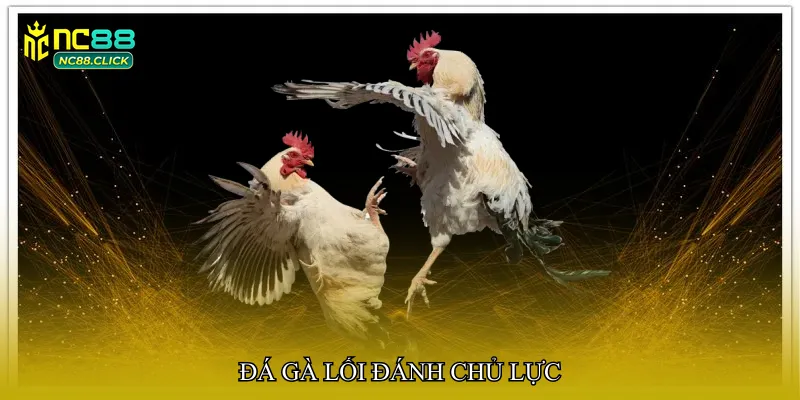 Đá gà lối đánh chủ lực