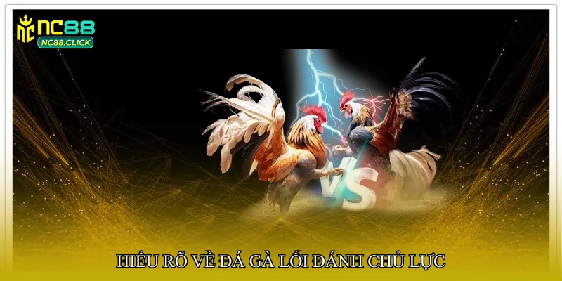 Hiểu rõ về Đá gà lối đánh chủ lực