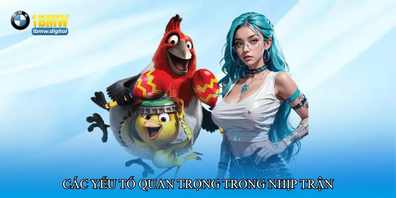 Các yếu tố quan trọng trong nhịp trận