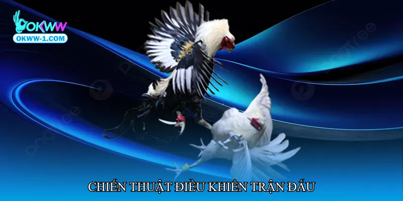 Chiến thuật điều khiển trận đấu