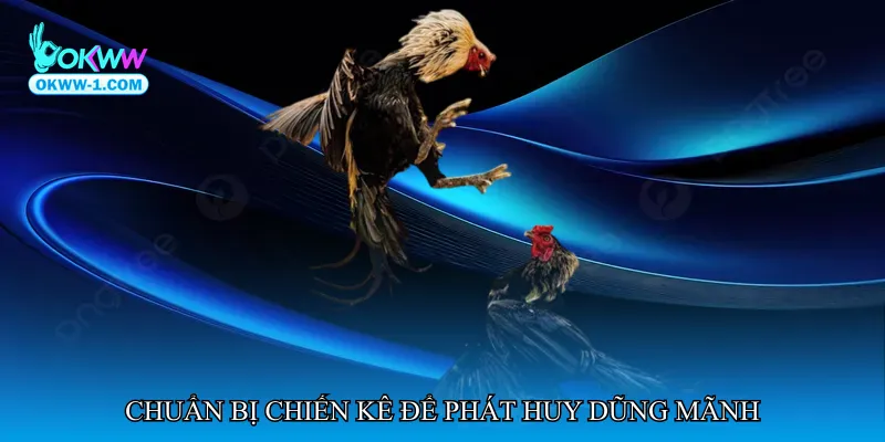 Chuẩn bị chiến kê để phát huy dũng mãnh