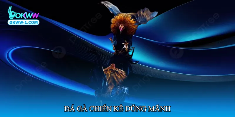Đá gà chiến kê dũng mãnh